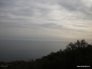 mpa Falconiera-30-03-2013 08-35-39